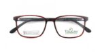 Toucan 3557 C03